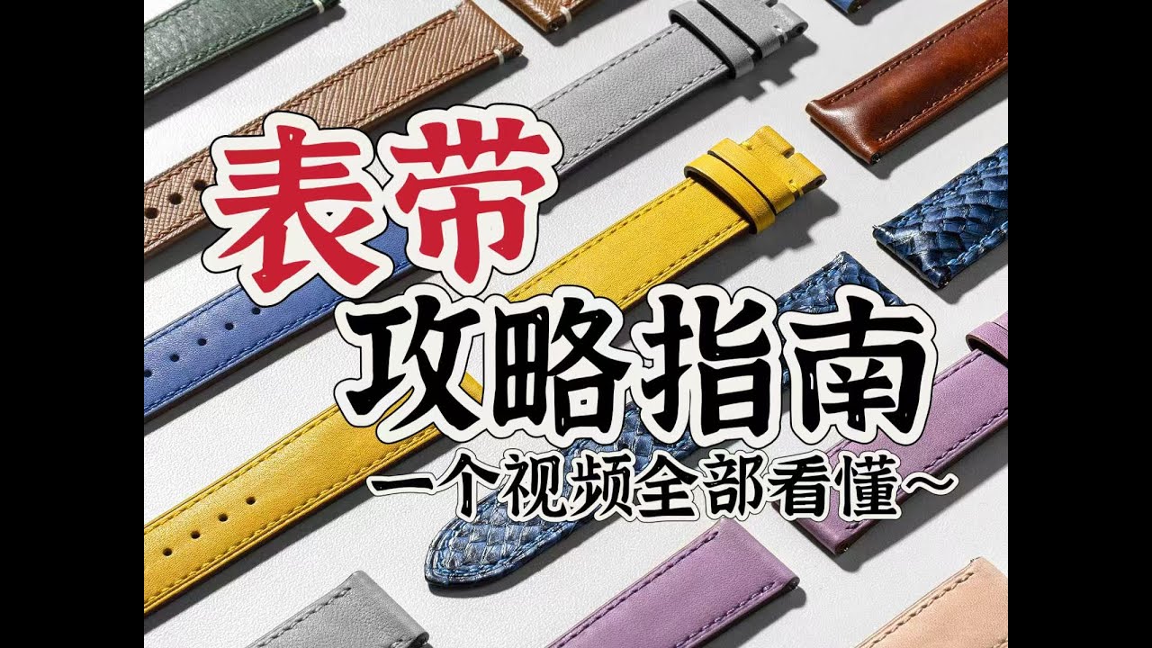 一篇视频，解决您的表带选择困难症~