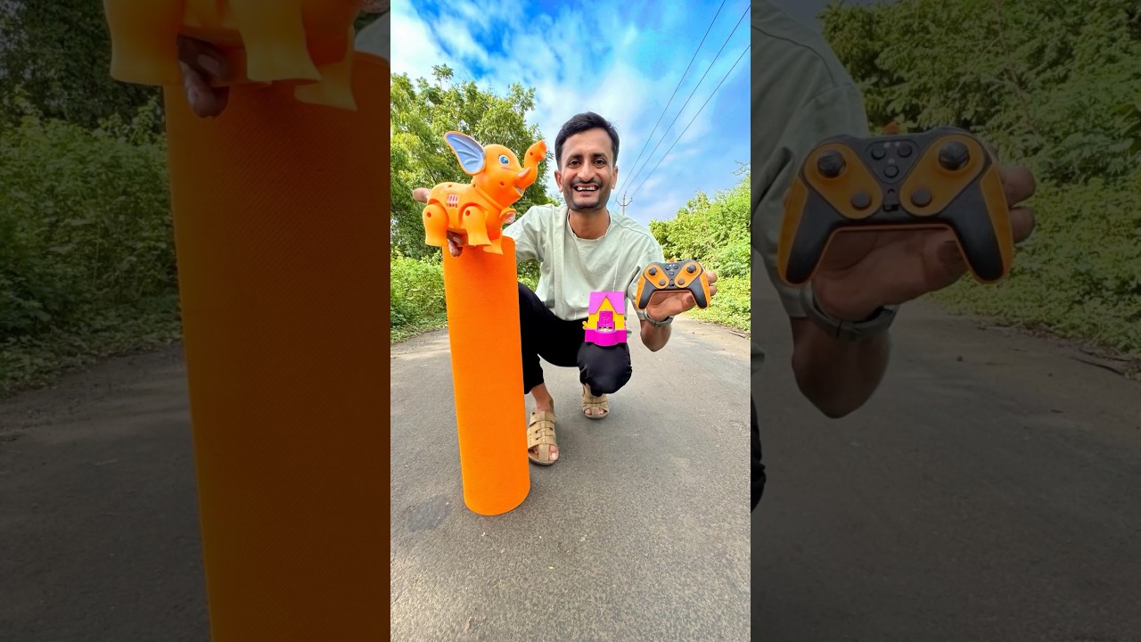 Rc Elphant ,Dog and Remote Yoga Met 😀