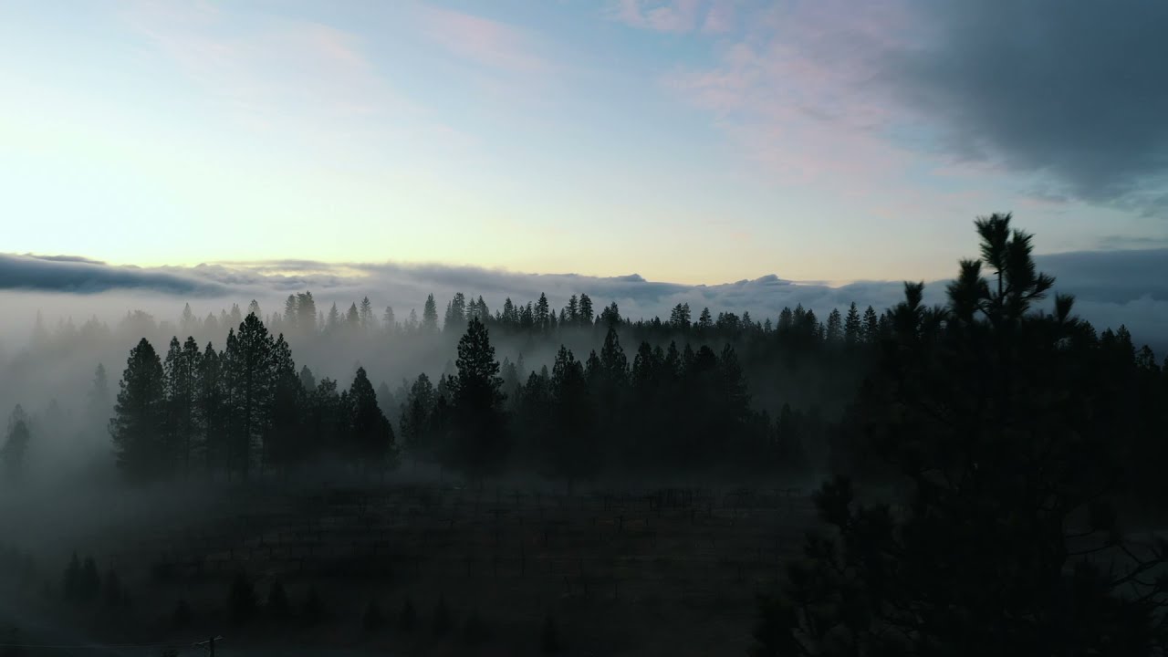 Rancho Cortes 2021 Teaser