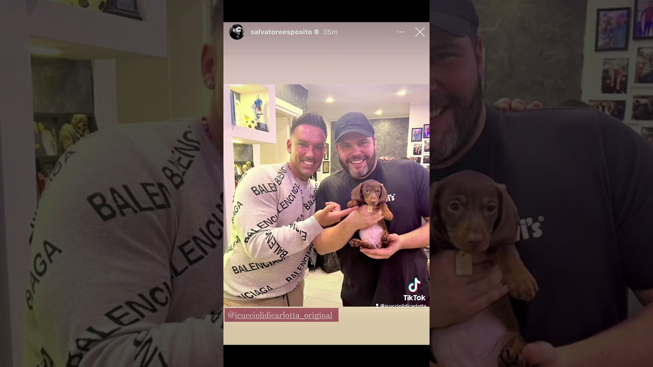 Salvatore Esposito sceglie I Cuccioli di Carlotta come allevamento