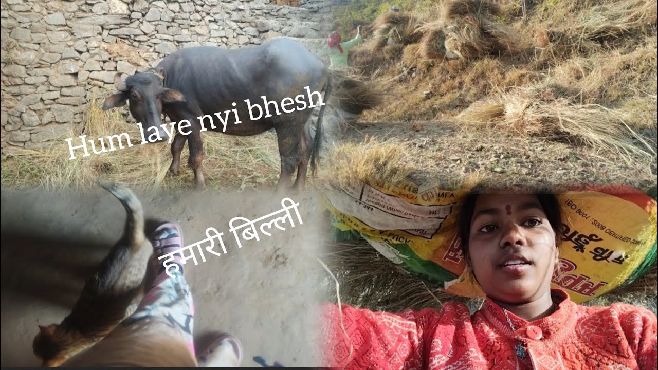 Hum laye hai nyi bhesh🥰#kanchu vlog🤗