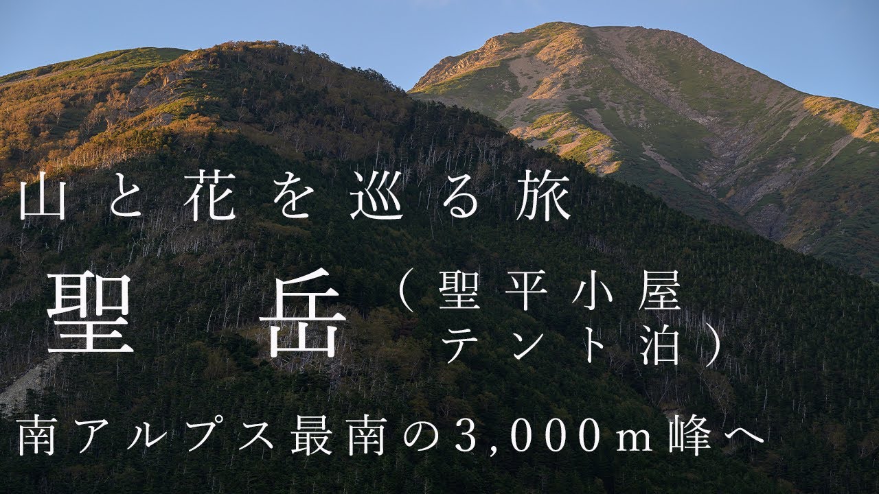 【登山】南アルプス・聖岳（芝沢ゲート発・聖平小屋テント泊）南アルプス最南の3000ｍ峰に登りました
