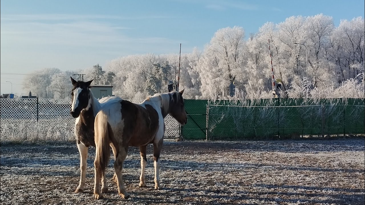 🌘 Do Nového roku 2025.👋🙂