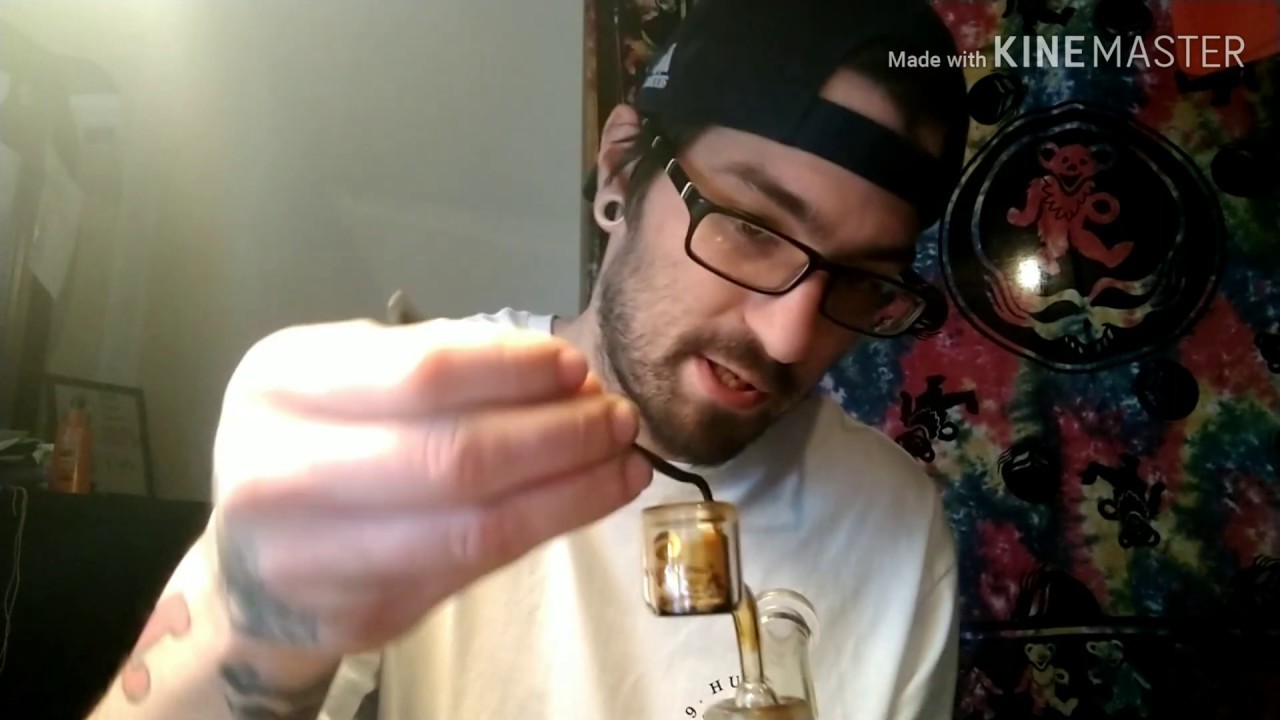Tangie sugar by Terrapin Doublebear review
