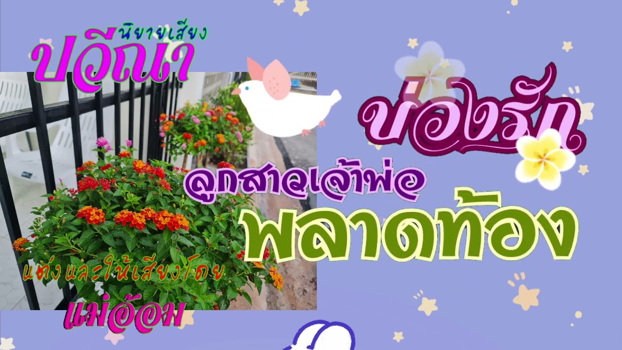 บ่วงรักลูกสาวเจ้าพ่อมาเฟียพลาดท้อง(จบในตอน) #นิยายเสียง #แม่อ้อม #meeaom