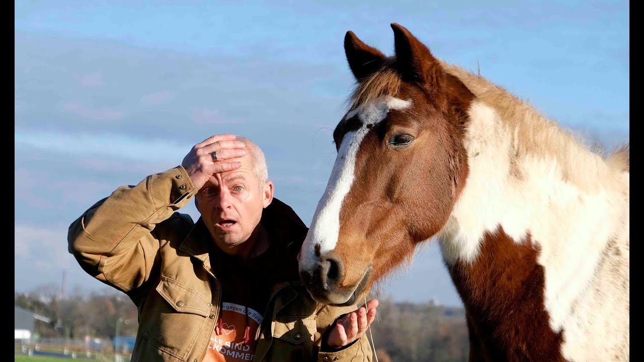 Dieser eine Fehler stellte mein Leben mit Pferden auf den Kopf