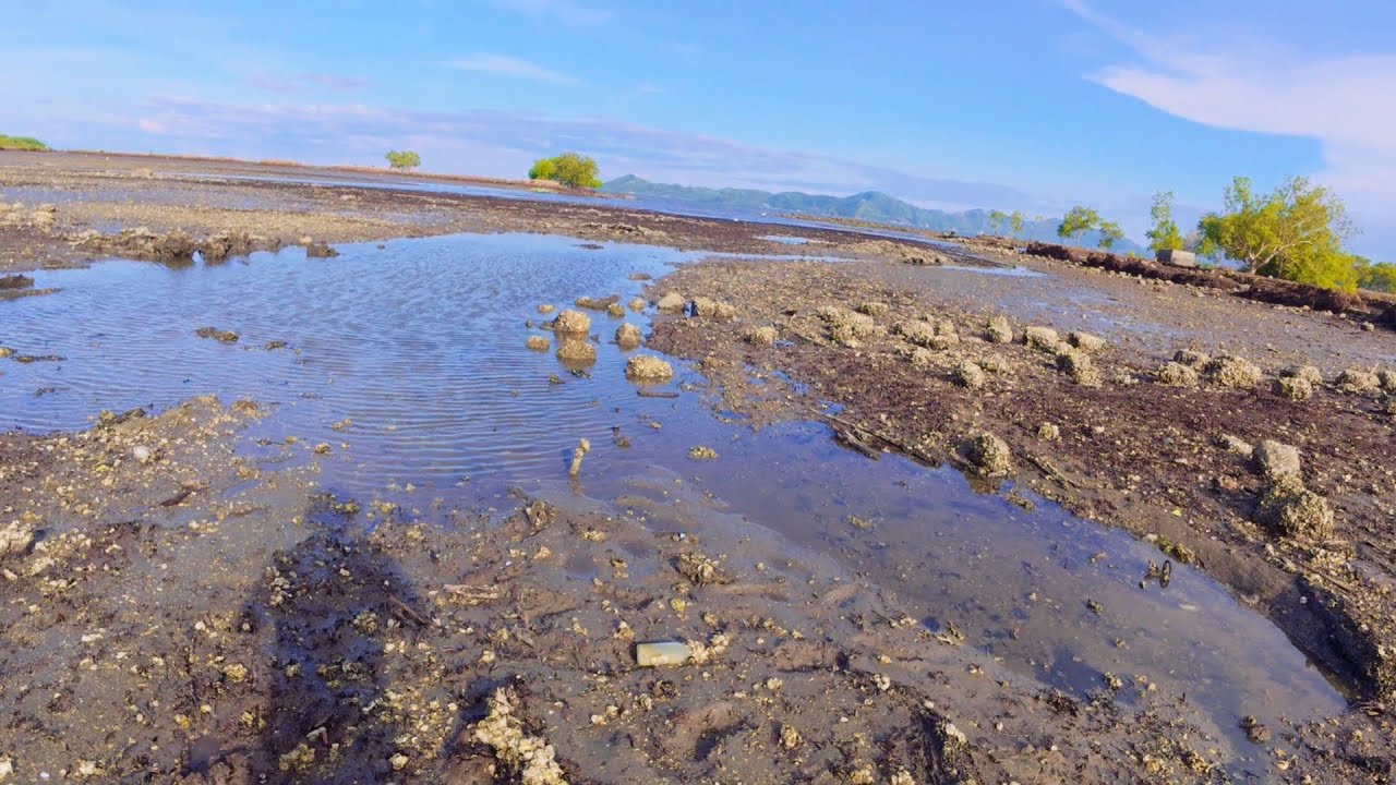 DIGGING FOR CLAMS AND OYSTER IN ABANDONED POND |CATCH AND COOK| PADADA PHILIPPINES ❗