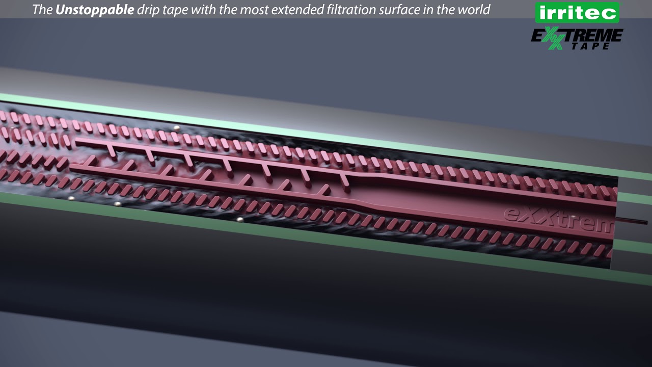 eXXtreme Tape (English)