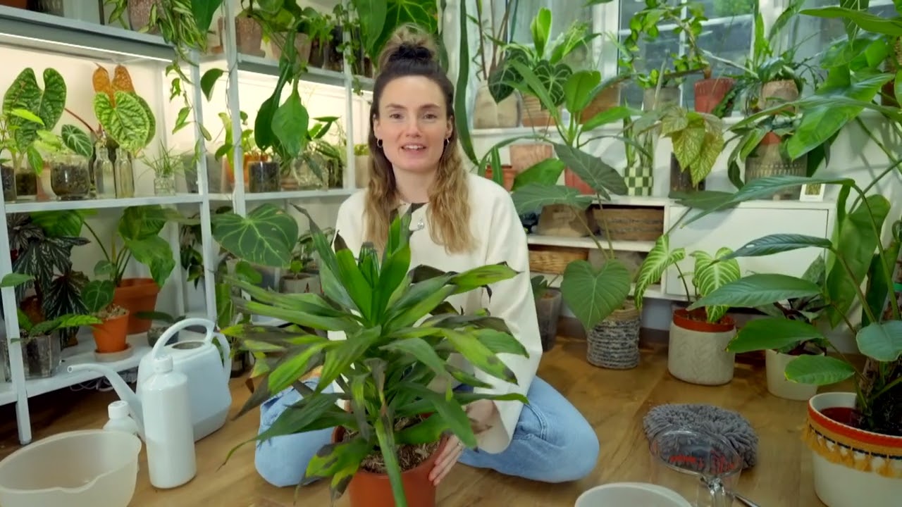 Alan Titchmarsh’s Gardening Club: Claire Lowrie – bringing houseplants back to life. Part 2