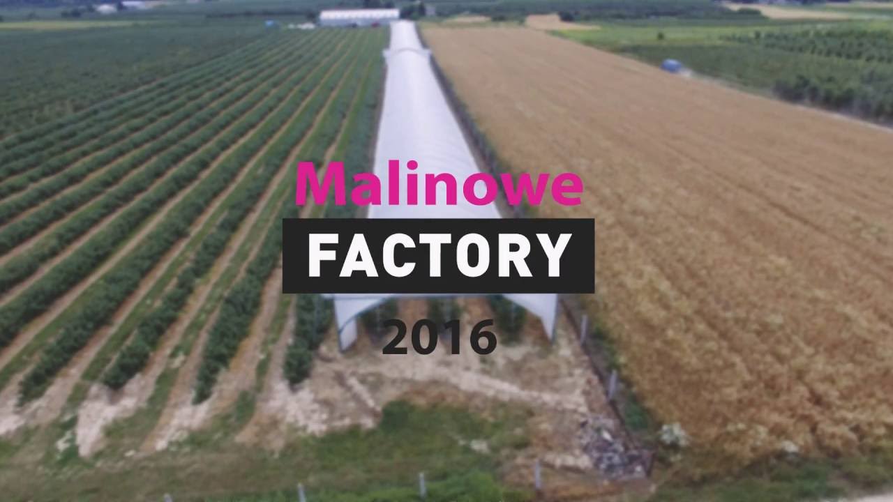 Malinowe Factory 2016 - zapraszamy do udziału