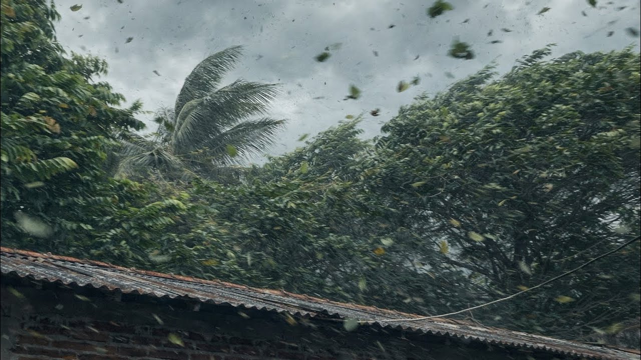 ASMR‼️Heavy Rain and Strong Winds 🌧️💨