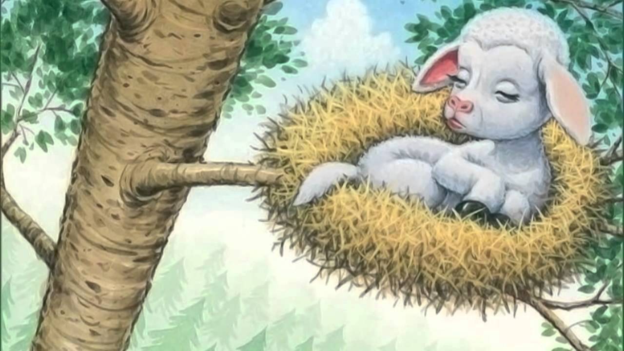 The Sheep That No One Could Find