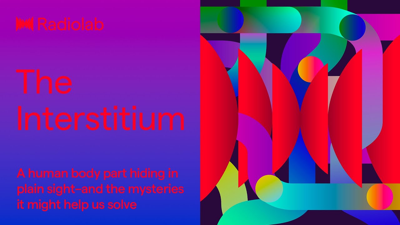 The Interstitium | Radiolab Podcast