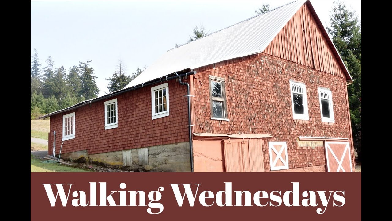 What's A Walking Wednesday??