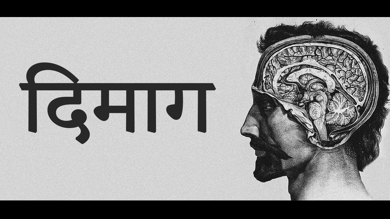 ऐसे काम करता है आपका दिमाग | Power of Your Mind/Brain (in Hindi)