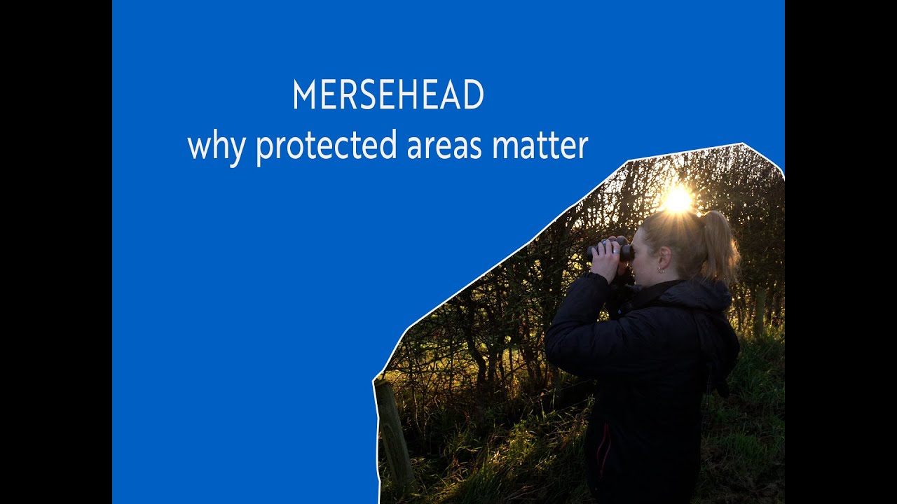 MERSEHEAD - Why Protected Areas Matter