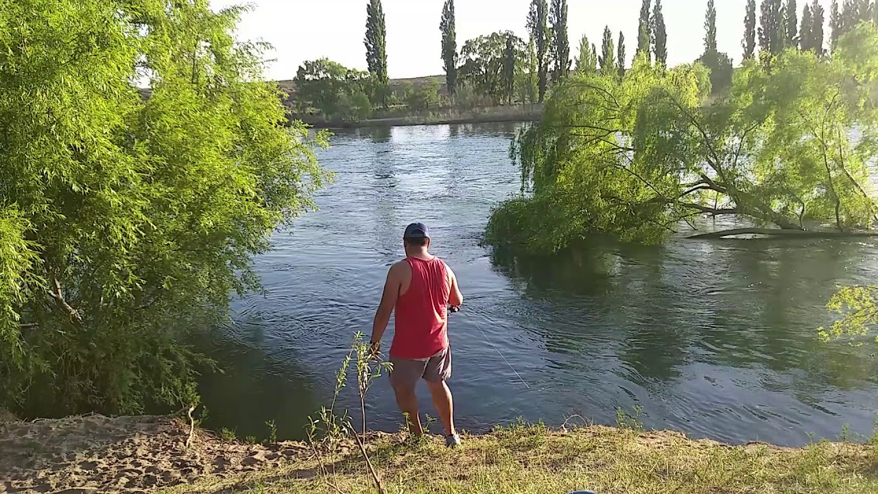 PONIENDO A PRUEBA REEL SHIMANO FX 4000 Y CAÑA WATERDOG SUNFIRE!!!