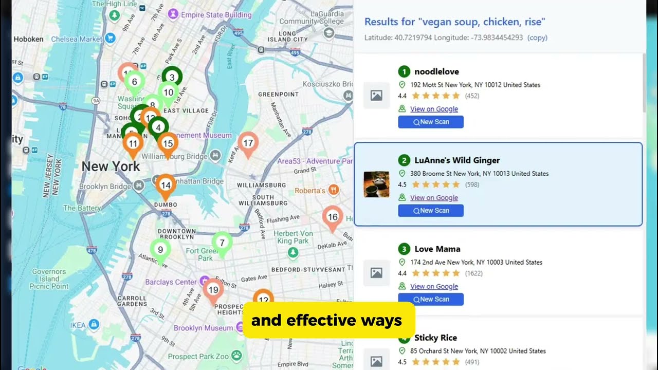 Google Maps Rank Checker