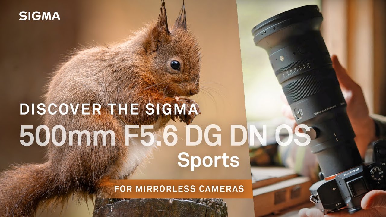 НОВЫЙ Sigma 500mm F5.6 DG DN OS | Спорт. Какой объектив!