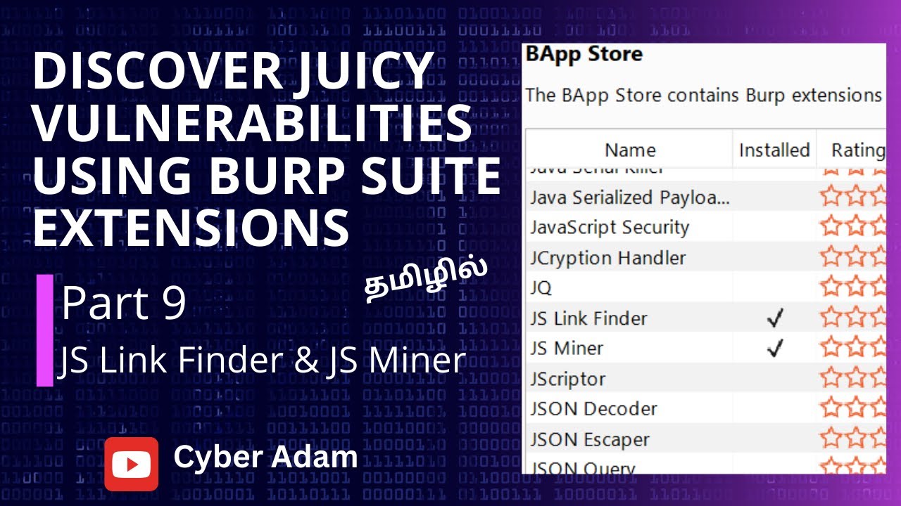 Discover Juicy vulnerabilities using Burp Suite extensions - JS Link Finder & JS Miner - Part 9