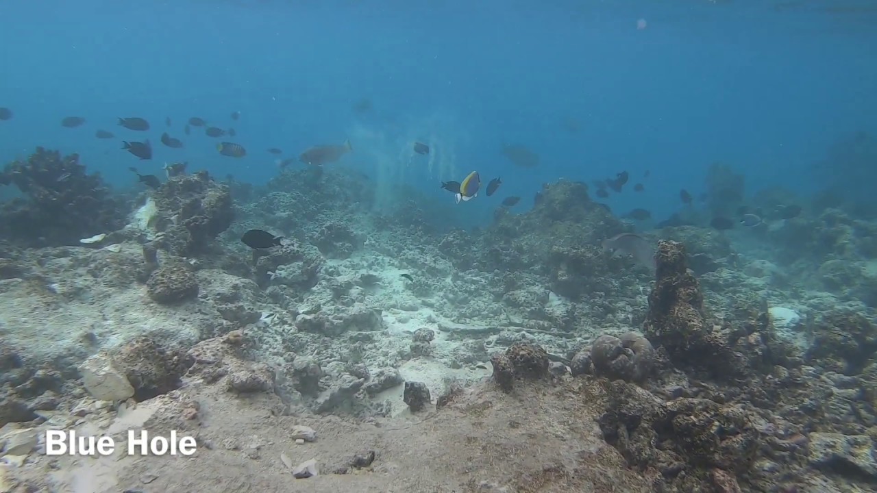 Vakkaru Snorkeling Blue Hole 2019/10/11