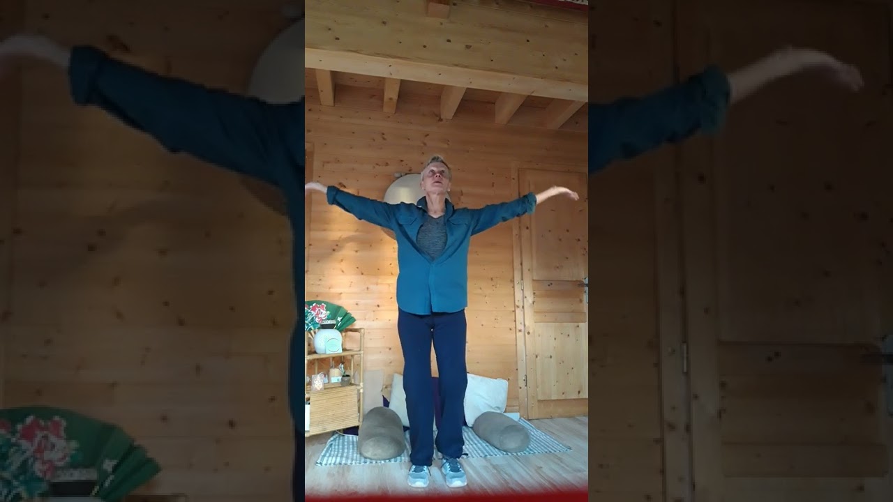 Qi gong Petit envol des oies sauvages