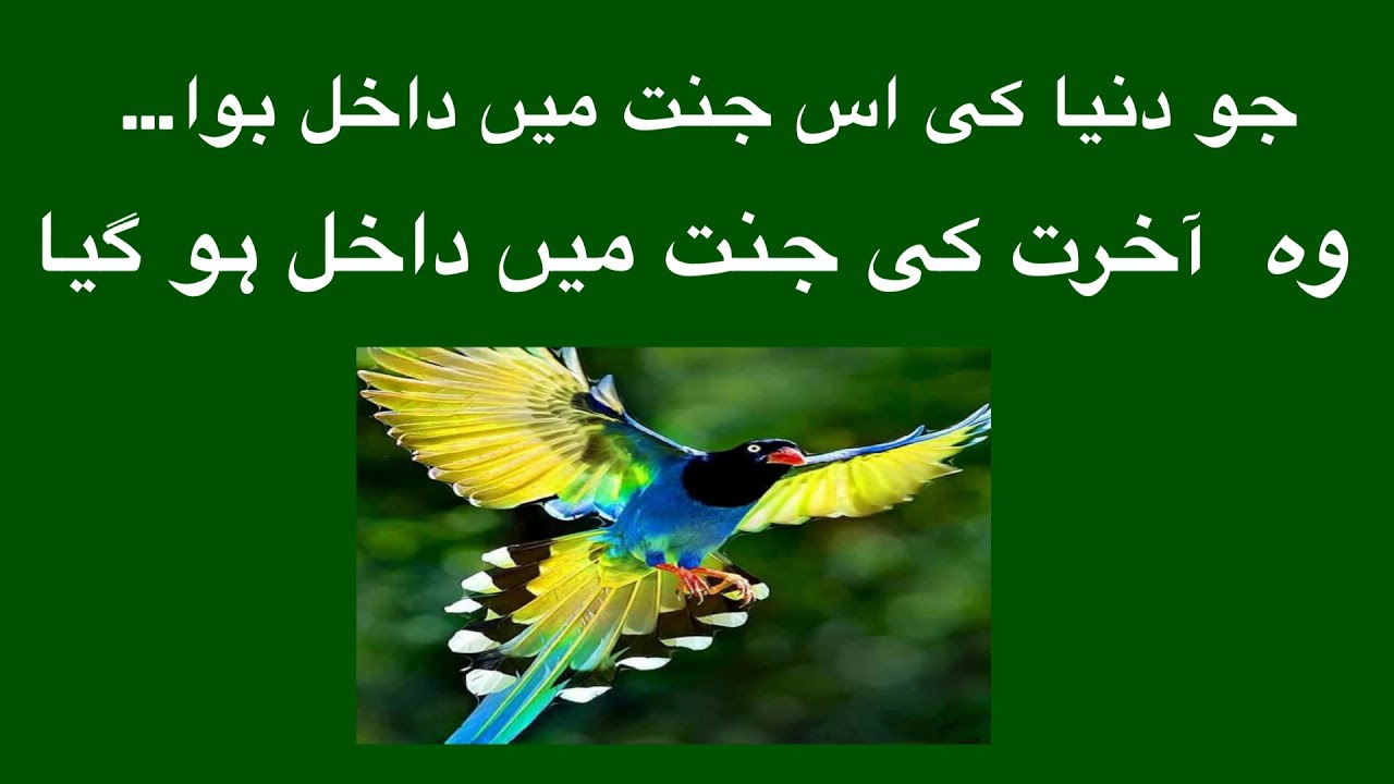 Jo Dunia ki is Jannat mai gia| Wo Akhirat ki Jannat mai dakhil ho gia