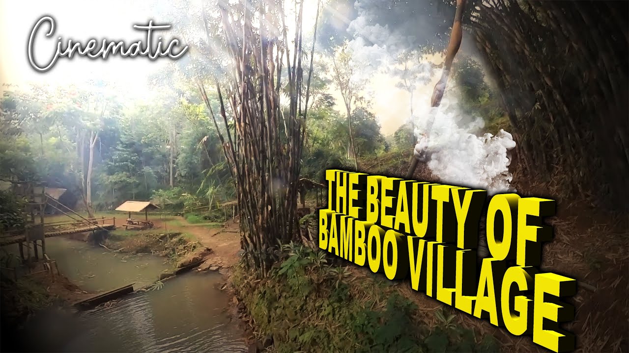 Amazing Bamboo Village In Cinematic ‼️ Bamboo Forest Conservation @zarambahtripchanel