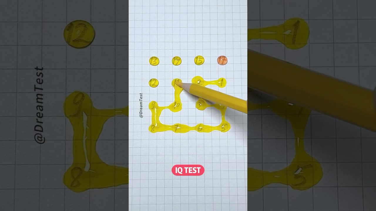 Draw a path in the order of the numbers. 