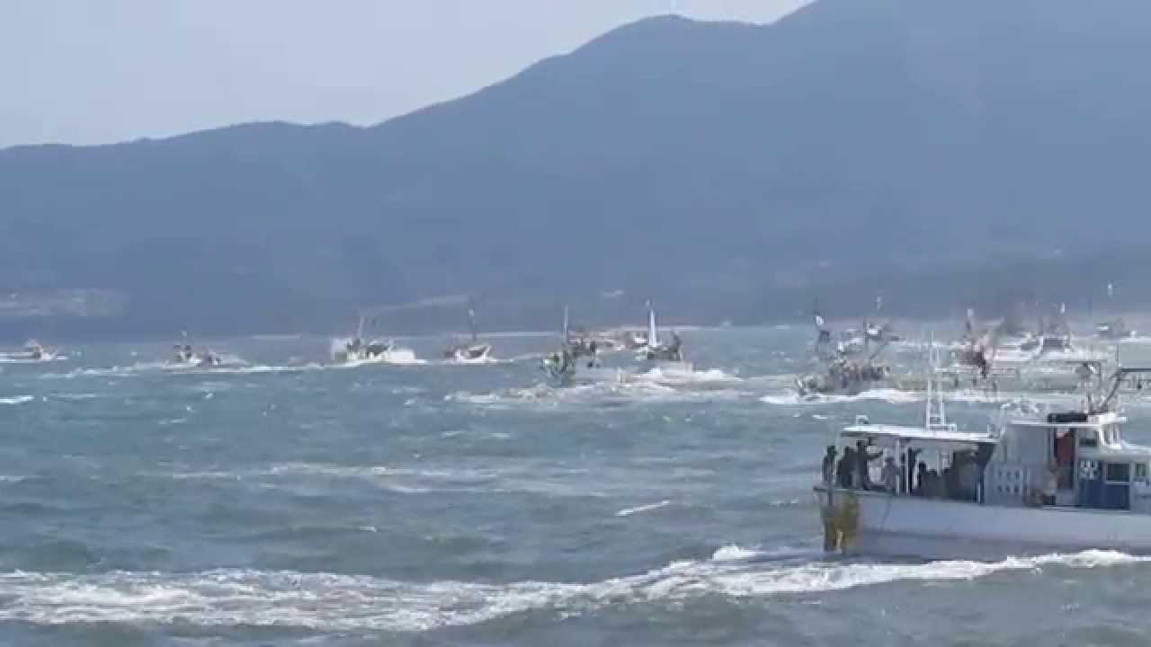 みあれ祭　宗像大社大漁船１２０隻海上勇壮パレードの神湊