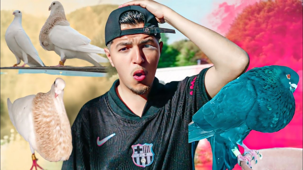 طلقت حمام يطيروا 🤯 وهربوا لي حمام الخنيسي 🔥