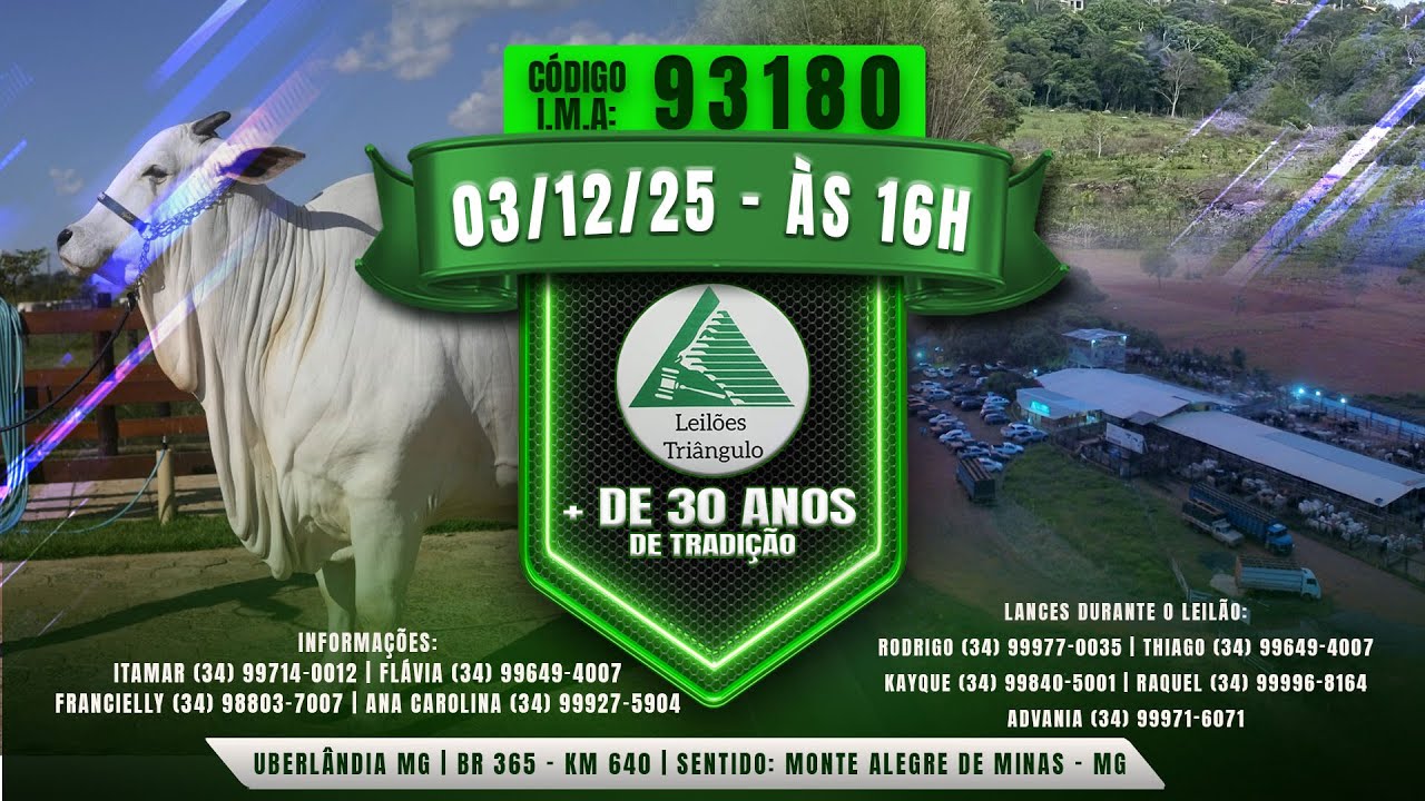 289&ordm; LEIL&Atilde;O PRESENCIAL E ONLINE DE GADO DE CORTE -  LEIL&Otilde;ES TRIANGULO  -  03/12/25  &agrave;s 16:00