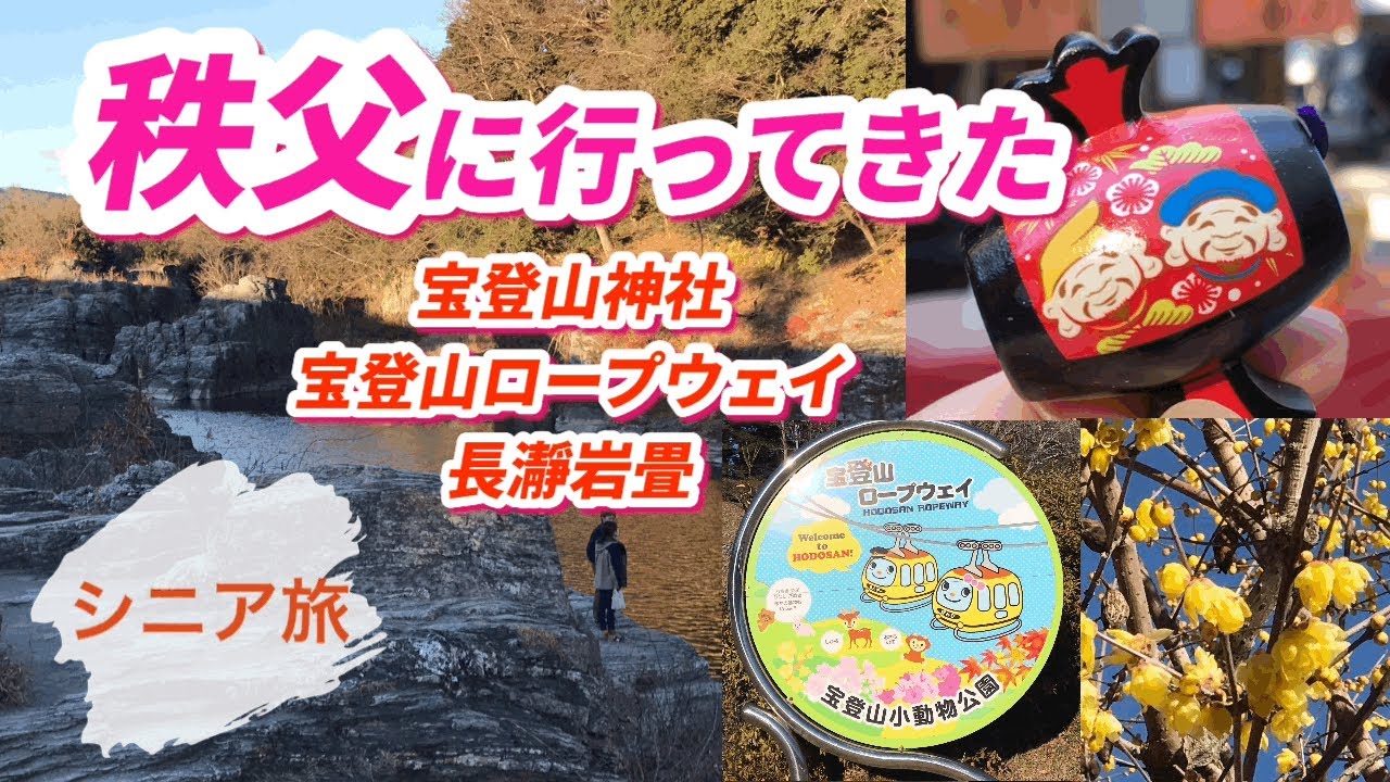 [秩父観光]宝登山神社、宝登山ロープウェイ、長瀞岩畳、蝋梅