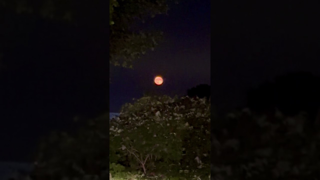 Moon - Spring Lake, MI 8/20/24