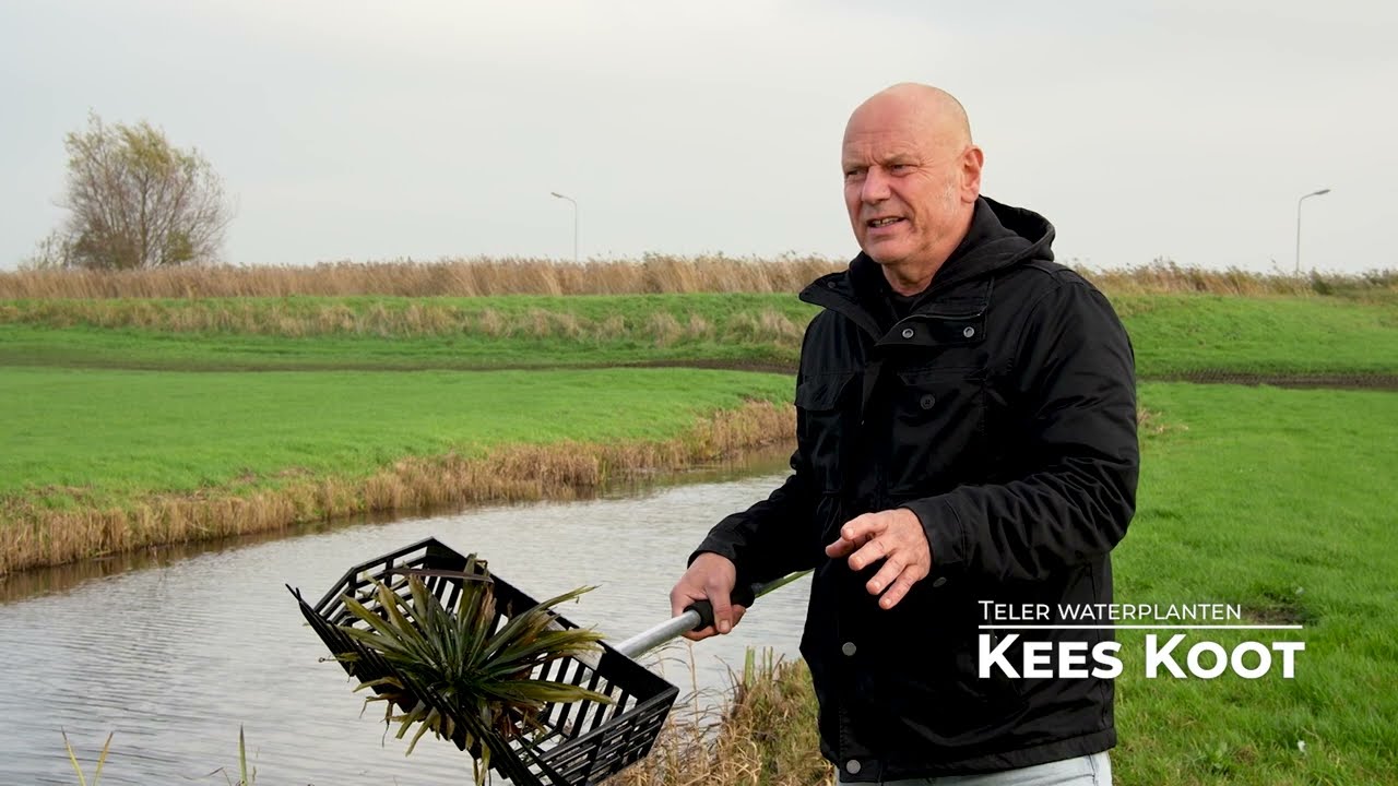 Eetbare Waterplanten - perceel Oud Ade