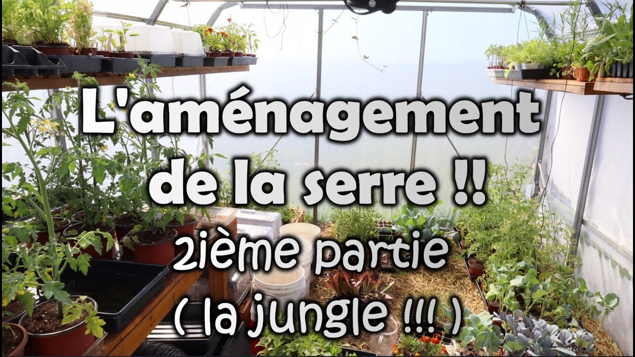 L'aménagement de la serre | 2ième partie