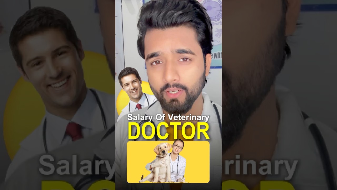 Salary of a Veterinary Doctor 🧑&zwj;⚕️ #salary #vet #doctor #explorepage #trend #viralreels #viralvideo