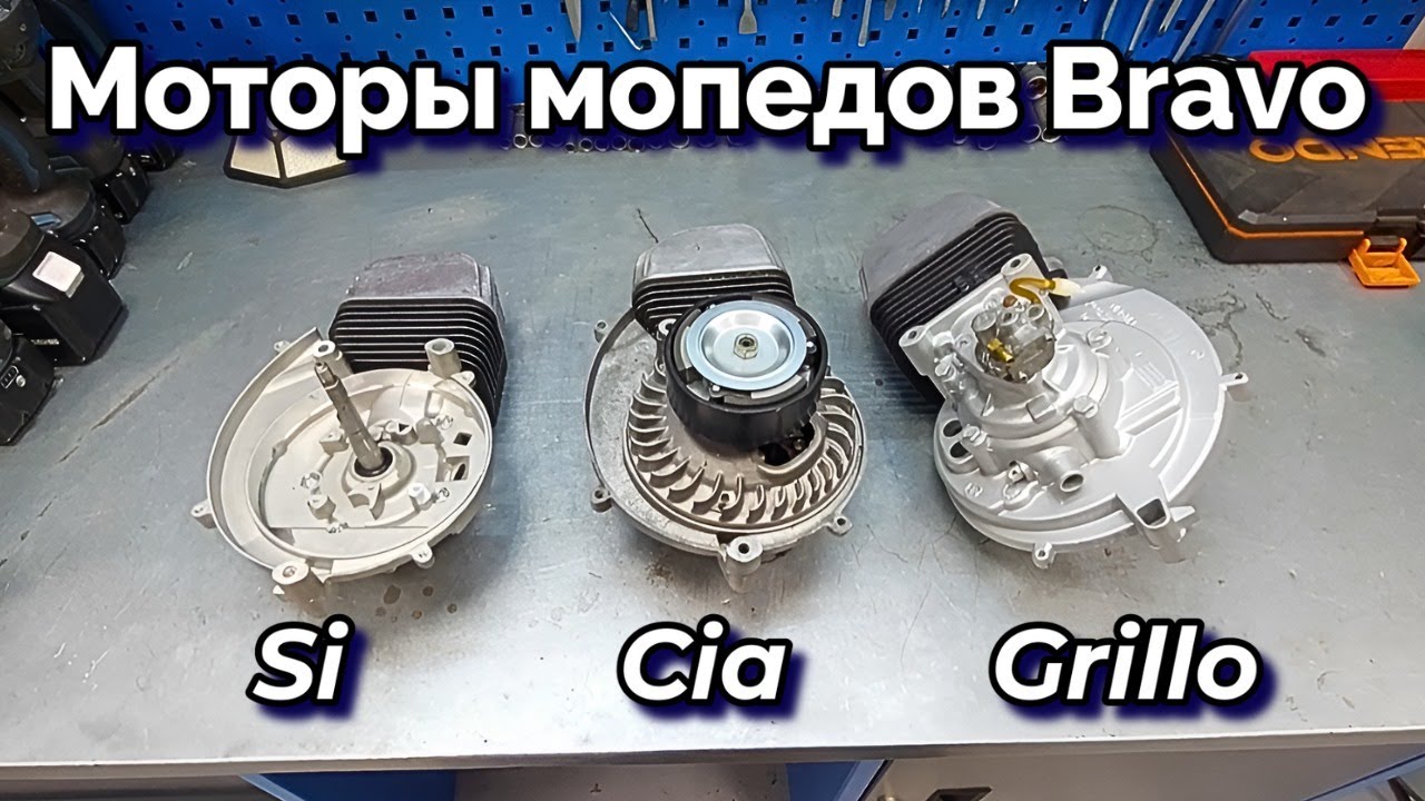 Моторы мопедов  Piaggio  Bravo . Si . Ciaо. Grillo