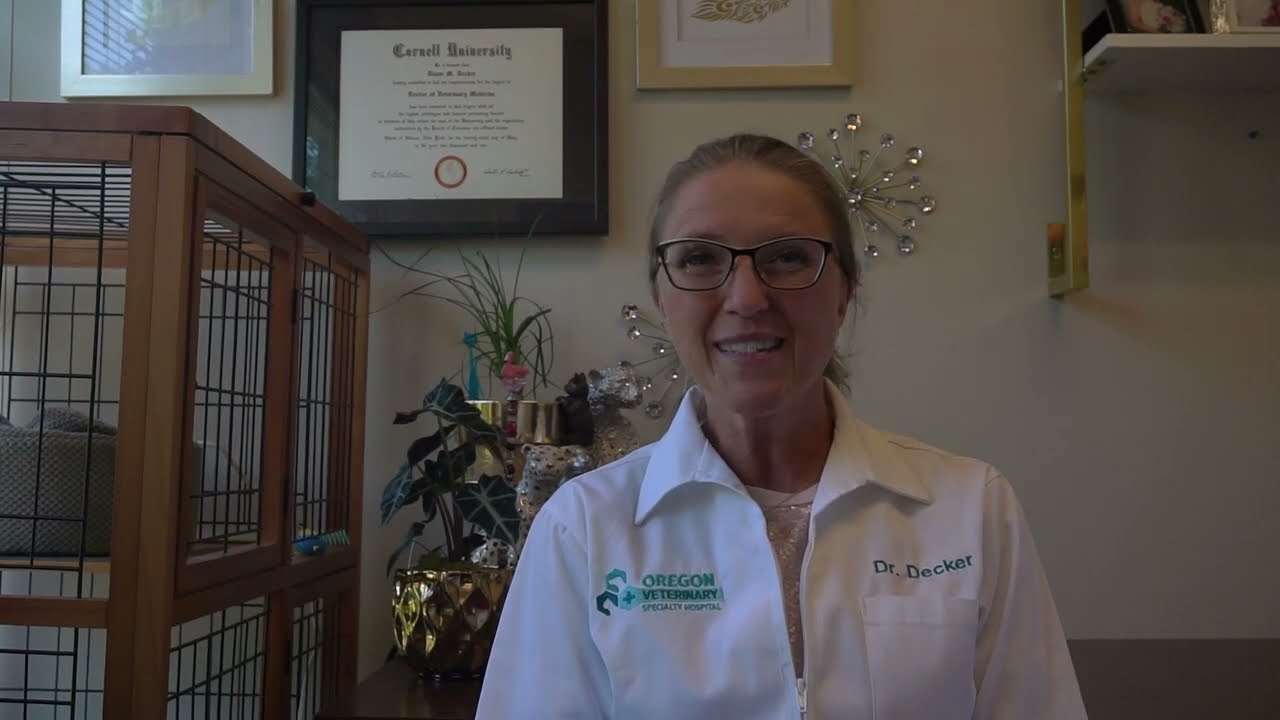 Phone Consult Preparation at FRC