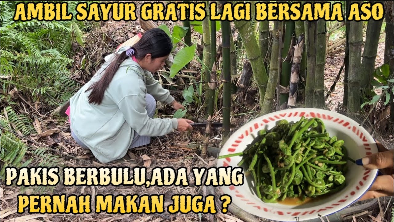JEMPUT ALING DAN ASO KEKAMPUNG LANJUT PERGI AMBIL REBUNG DAN PAKIS