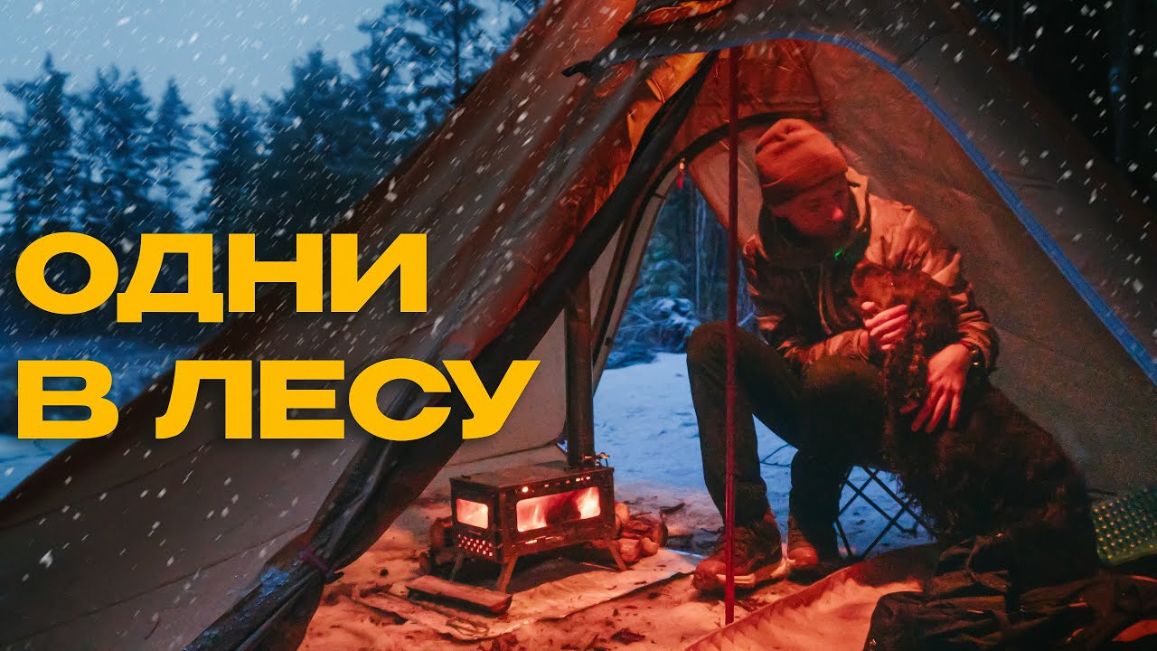 НОЧУЮ В ПАЛАТКЕ С ПЕЧЬЮ И СОБАКОЙ В ЛЕСУ ЗИМОЙ!