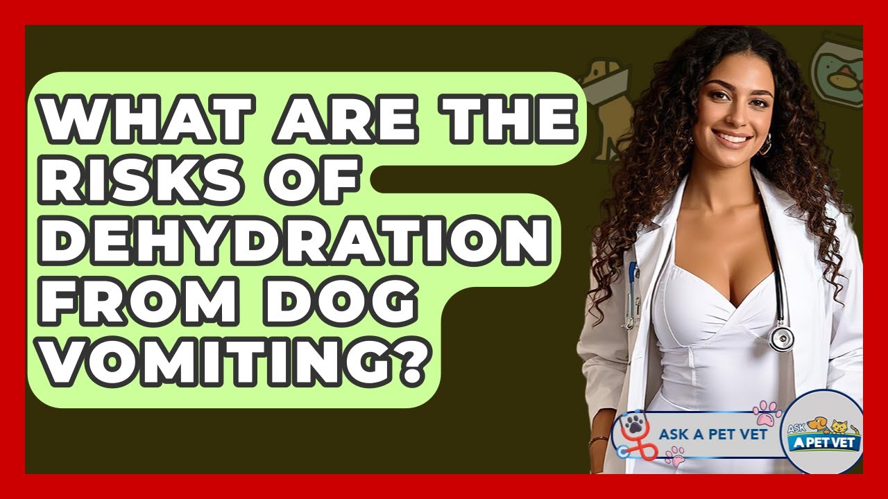 What Are The Risks Of Dehydration From Dog Vomiting? - Ask A Pet Vet