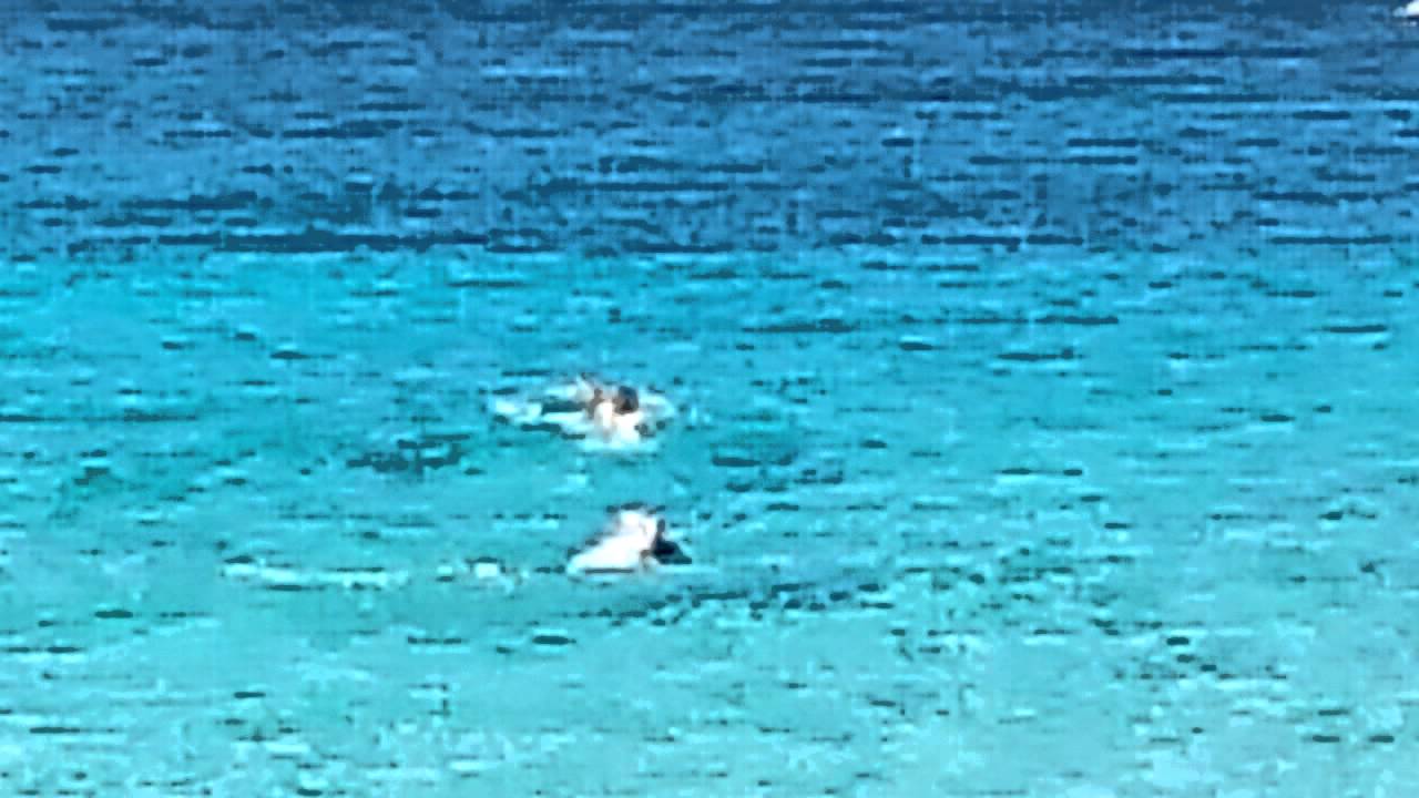 Collisione fra nuotatori cala azzurra