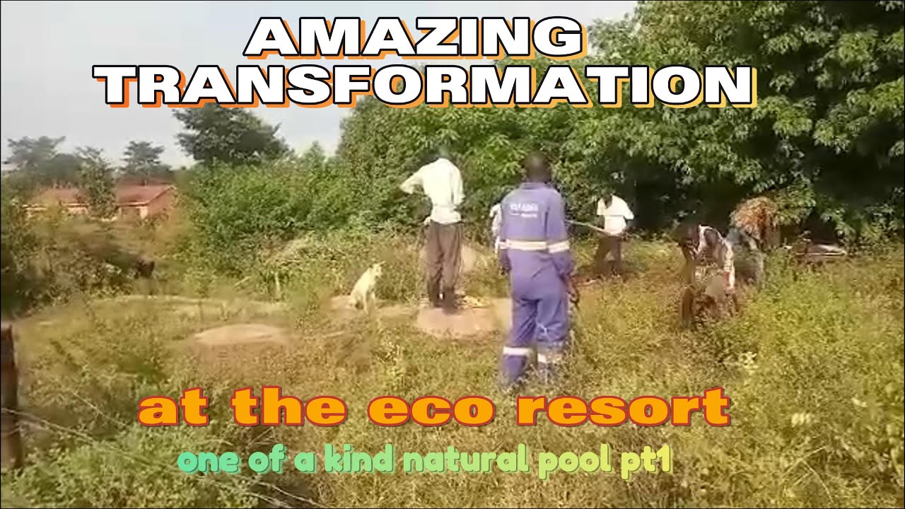Anew adventure at the eco resort transformation  pt1