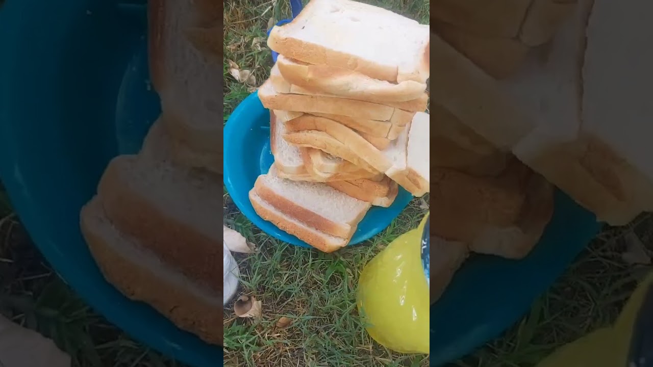 Uku Ndiko kunonzi kuzvidyira. 