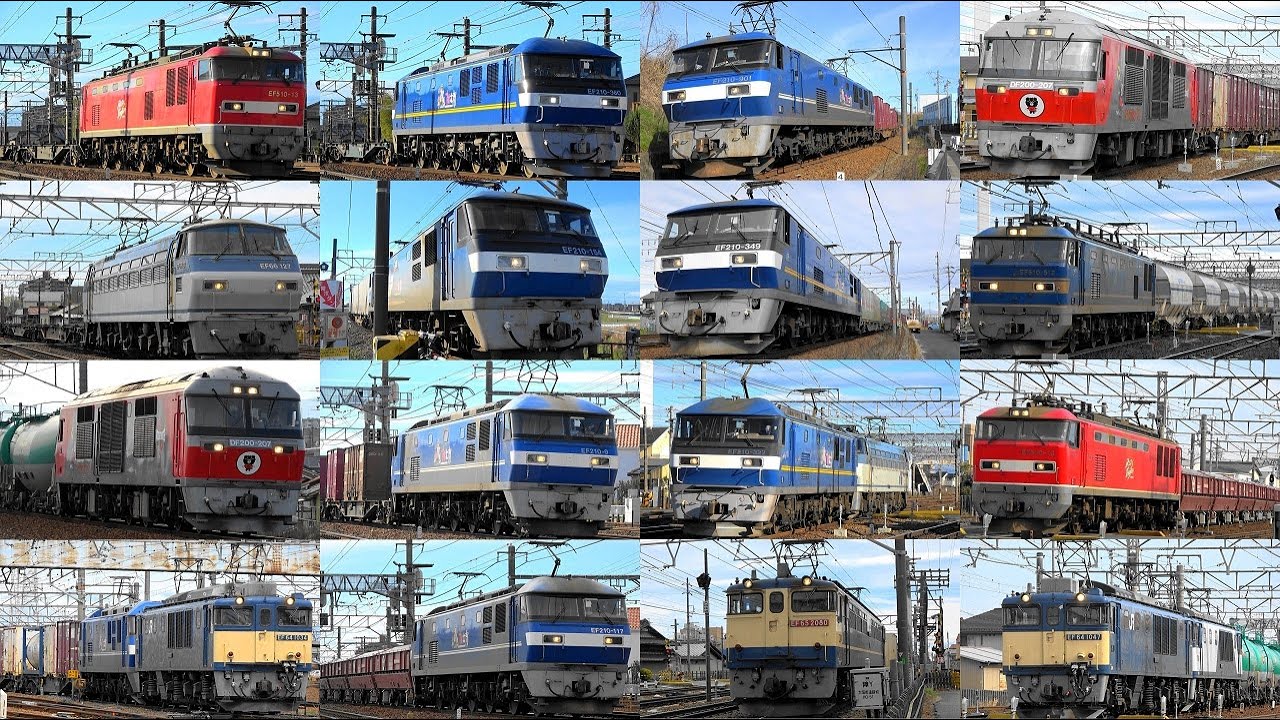 平日の貨物王国‼ 2024,4,4 貨物列車いろいろいっぱい47本 稲沢に響くモーター音とジョイント音‼汽笛‼ 桜咲く貨物王国を力走する貨物列車たち ウルフドッグスDF200登場です♪