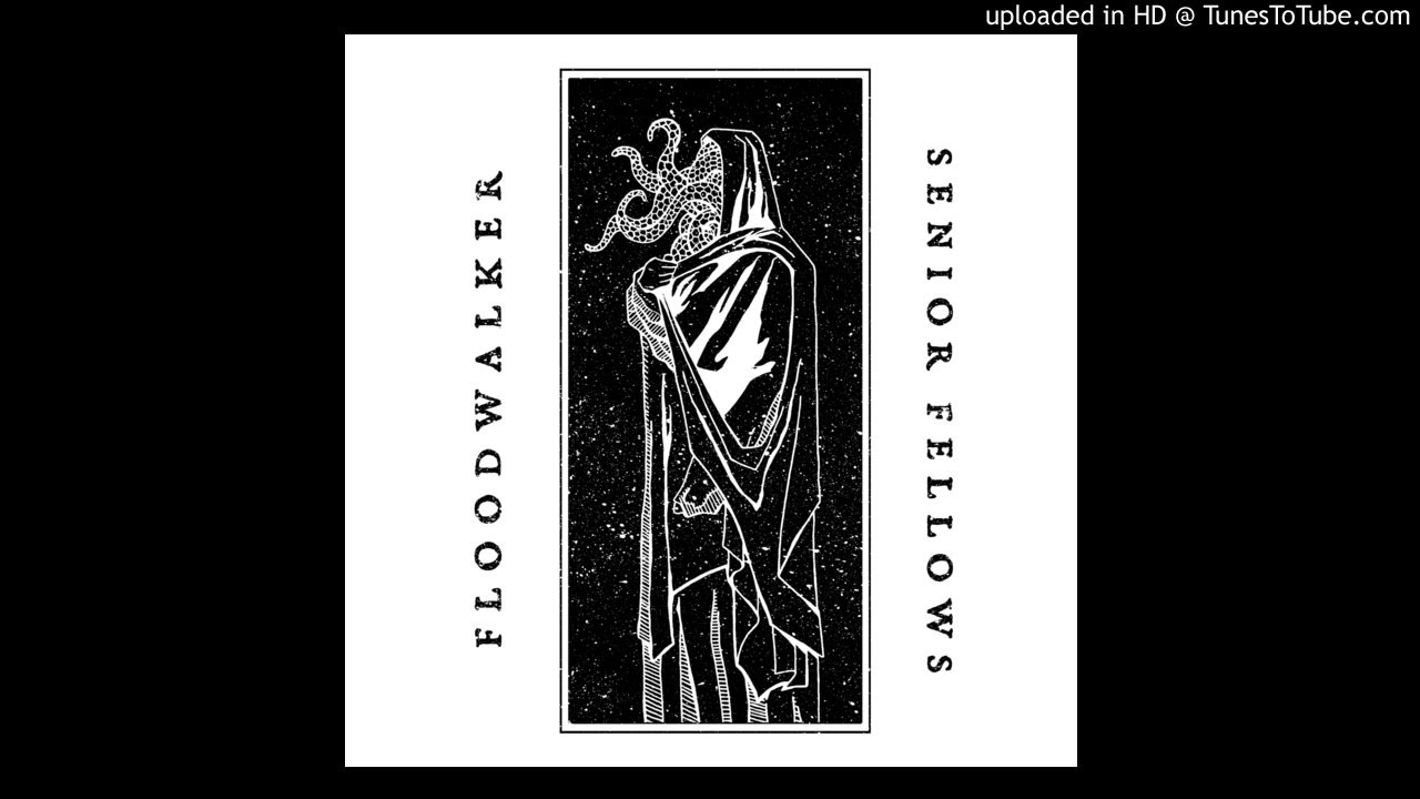 FLOODWALKER - split with Senior Fellows [FULL ALBUM] 2018