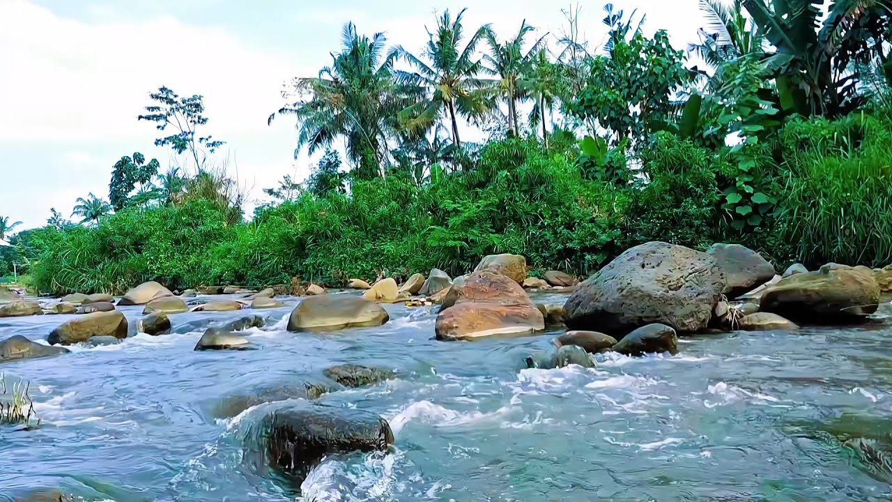 Gentle River Ambience for Inner Calm