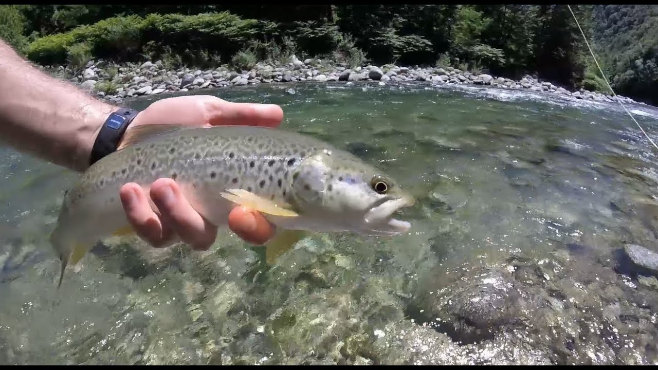 Alla Scoperta della Valsesia