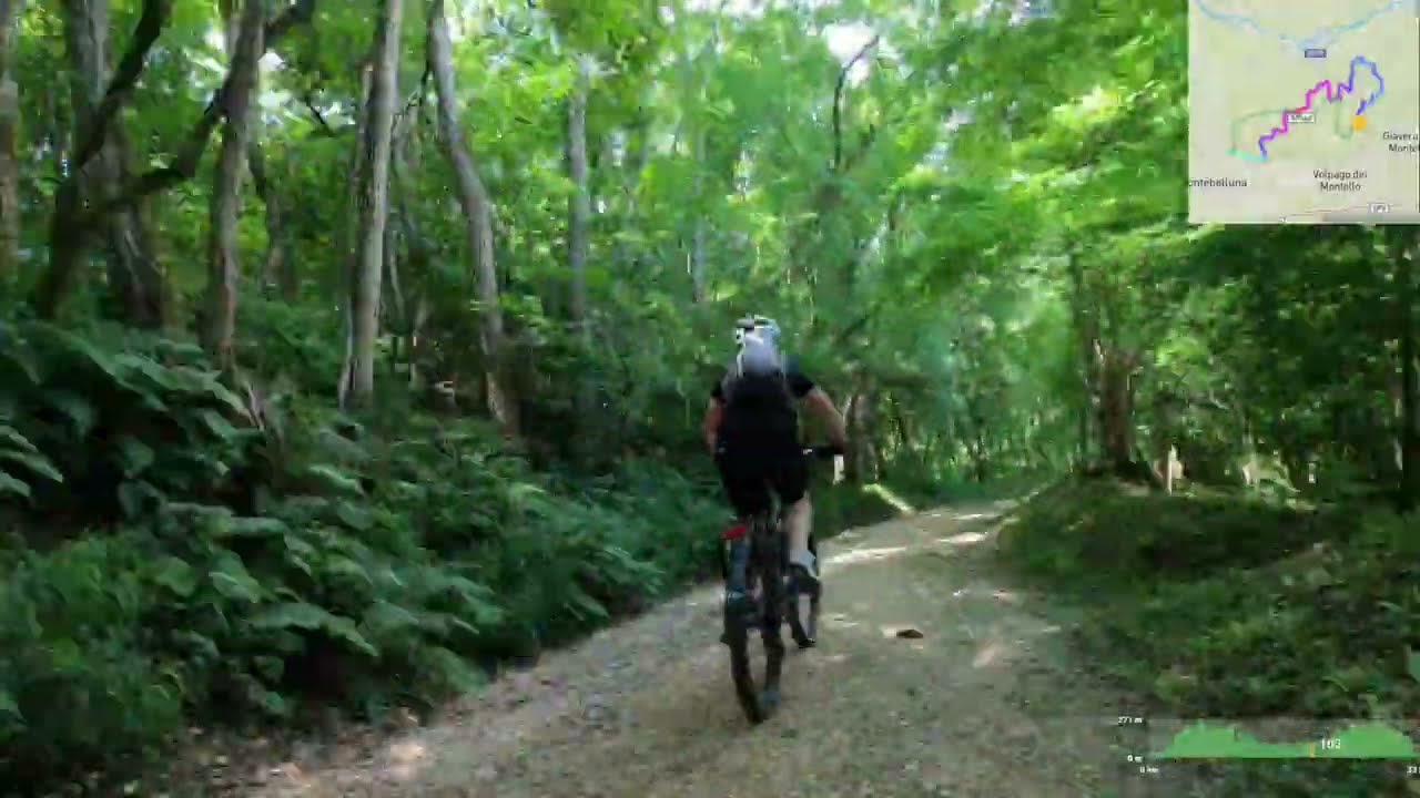 Montello: trail nascosti tra prese e sentieri | Hidden trails & prese MTB loop